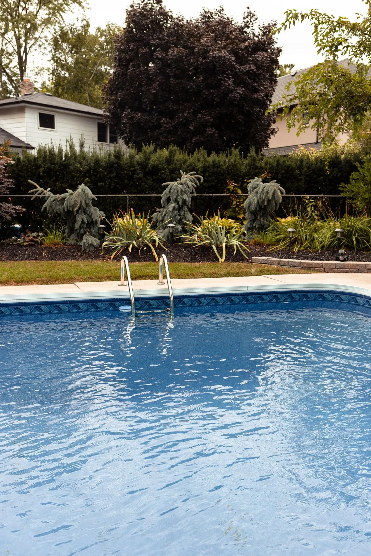 Piscina de jardín residencial rodeada de plantas y arbustos cuidados